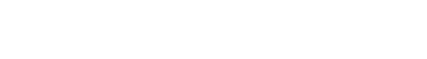 LaserData logo